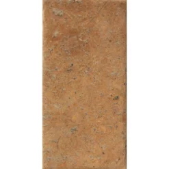 Carrelage COTTO DEL CAMPIANO Giallo Umbria 10x20cm Ep.10mm